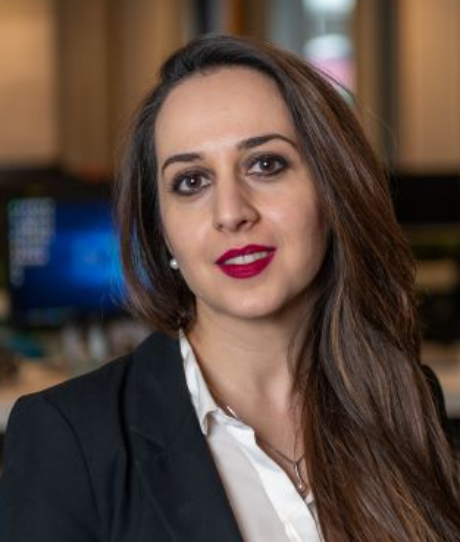 Bahar Namaki Araghi