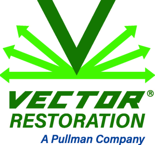 Vector Restoration
