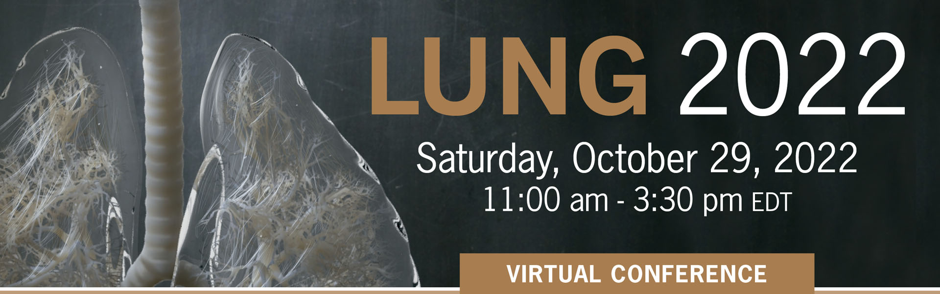 2022-004-058 Lung 2022